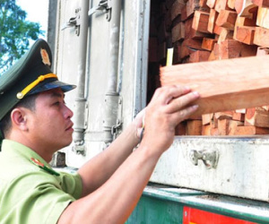 Tạm giữ xe container chở hàng chục tấn lâm sản quý hiếm