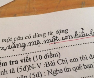 Học sinh đặt câu “Em tặng mẹ một con hiểu bài” khiến dân mạng đứng hình