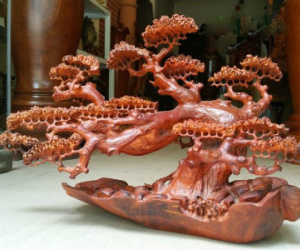 Theo chân đại gia săn gỗ "phong thủy"