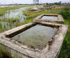 Dự án khu tái định cư 300 tỷ đồng thành nơi chích ma túy