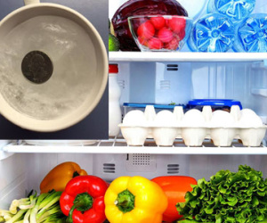 Đặt 1 đồng xu vào tủ lạnh rồi hãy ra khỏi nhà, bạn sẽ nhận được điều bất ngờ khi về đấy!