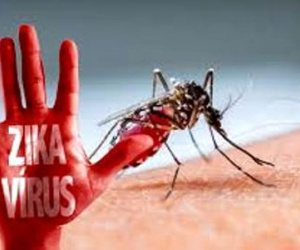 TPHCM: 80% số quận huyện bị vi rút Zika tấn công
