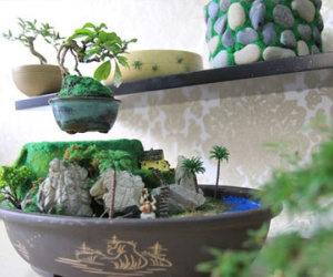 Bonsai tiền triệu bay lơ lửng hút khách Sài Gòn