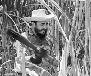Nhớ lần chặt mía cùng lãnh tụ Fidel Castro