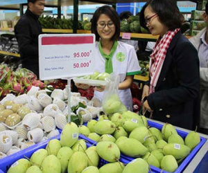 Tranh nhau mua cá, tôm... với thương lái Trung Quốc