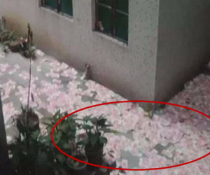 Hai xác chết, một "cơn mưa tiền" và bí ẩn chưa có lời giải đáp tại khu chung cư