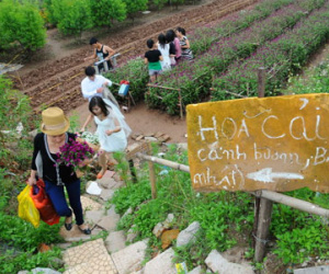 Khi nhà vườn treo bảng "coi chừng chó dữ" để chống... "phượt"!