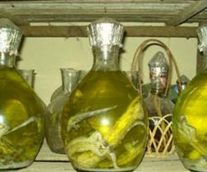 Rượu thuốc hỗ trợ quý ông "trên bảo dưới không nghe"