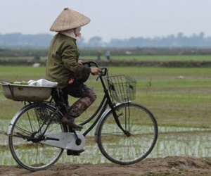 Hà Nội sẽ thu hồi, chuyển mục đích hơn 3.500 ha đất trong 2017