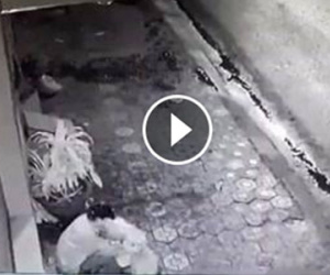 Từ camera, chàng trai sững sờ khi thấy người ăn xin húp nước trong 2 ly mì đã bị vứt bỏ trước nhà