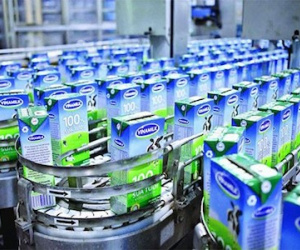Tỷ phú Thái chi nửa tỷ USD đăng ký mua đấu giá cổ phiếu Vinamilk