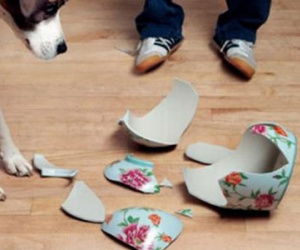 7 dấu hiệu cho thấy bạn sắp bị hao tiền, tốn của
