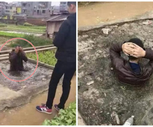 Chẳng cần đánh đập gì cho mệt, tên trộm chó chắc sẽ tởn đến già sau hình phạt bốc mùi này