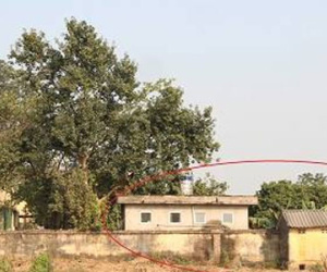 Bé 8 tuổi bị dâm ô khi đi vệ sinh trong trường học