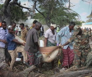 Đánh bom liều chết ở Somalia khiến 29 người thiệt mạng