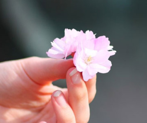 Ảnh bìa bài viết 415198