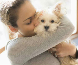 Phát khóc vì kẻ "phá bĩnh" đêm mặn nồng của vợ chồng son