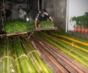 Dân Quảng Nam trắng đêm chạy lũ