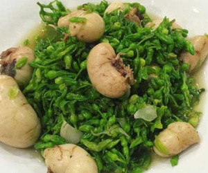 Nguồn gốc bí ẩn "thần dược" ngọc kê bán tràn Hà Nội