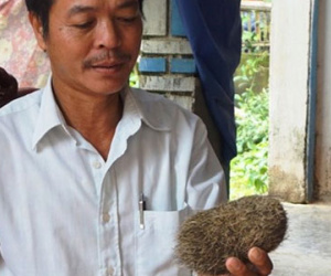 Nghệ An: “Cát lợn” được người Hồng Kông trả giá 3 tỉ đồng… ế khách