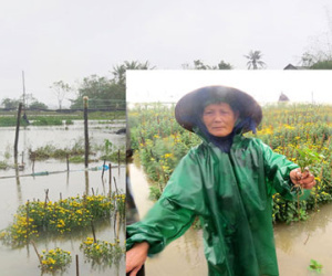 Người trồng hoa trắng tay vì lũ