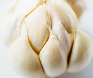 Ăn một lát tỏi vào buổi sáng, phòng chữa được bách bệnh