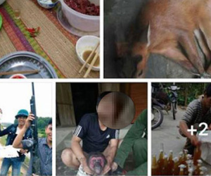 Nam sinh khoe ảnh súng và khỉ trên facebook, công an mời lên làm việc