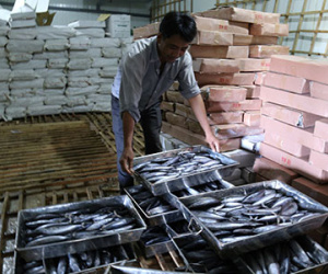 Quảng Trị tồn kho hơn 1.300 tấn hải sản đông lạnh