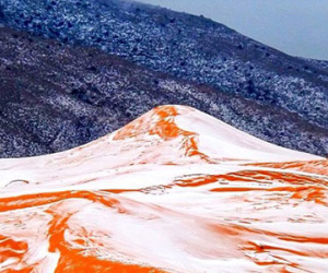 Tuyết rơi ở Sahara: "Tất cả mọi người đều sốc"