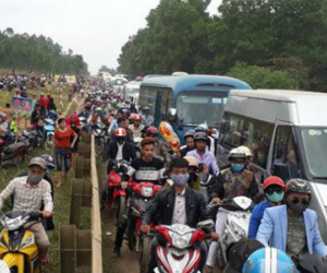 Nghệ An: Tê liệt mọi ngả đường dẫn vào cánh đồng hoa hướng dương