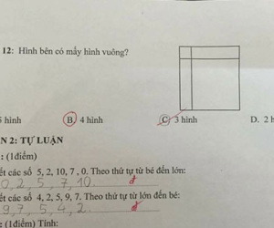 Bài toán đếm hình vuông "cô hay trò sai" gây tranh cãi