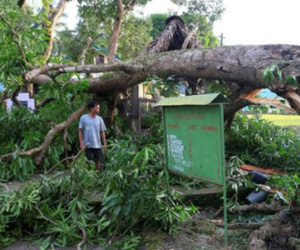 Bão Nock-ten tàn phá Philippines làm 2 người chết