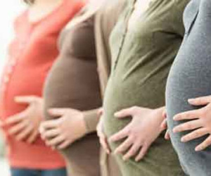 Chấn động Hà Lan: Hàng loạt phụ nữ bị bơm nhầm tinh trùng
