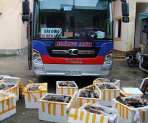 Xe khách chở hơn 1 tấn chân và đuôi trâu bò bốc mùi hôi thối