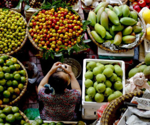 Giá hàng Tết từ chuyện quả trứng chịu 14 loại phí, quả chanh “đội giá” 100 lần