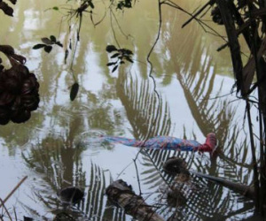 Thi thể người phụ nữ mang thai 7 tháng trôi sông