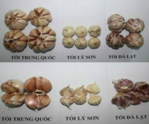 Top 7 thực phẩm "Made in China" nên tránh càng xa càng tốt