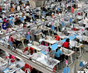 23 người Việt mới làm bằng một lao động Singapore
