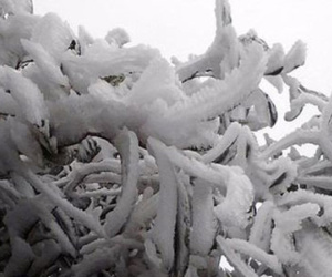 Băng giá, sương muối phủ trắng các đỉnh dãy Hoàng Liên Sơn