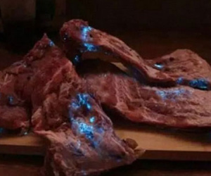 Kinh hoảng khi thấy sườn heo phát ánh sáng xanh kỳ quái trong đêm