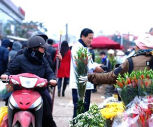 Nghỉ Tết Dương, miền Bắc rét đậm, miền Trung mưa to