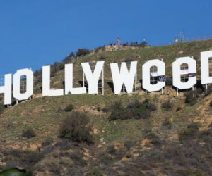 Chỉ sau một đêm, tấm biển Hollywood đã biến thành "Hollyweed" trước sự ngỡ ngàng của người dân