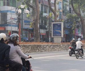 Tài xế buýt nhanh bị đâm vỡ kính: "Tôi chỉ kịp nhìn lái xe là một phụ nữ"