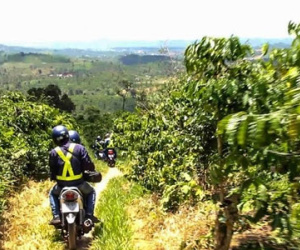 Đường lên "cổng trời" Linh Quy Pháp Ấn trong MV Lạc Trôi