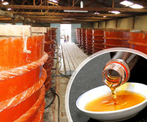 Thanh tra toàn diện Công ty Masan và Khải Hoàn