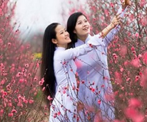Tết Nguyên đán miền Bắc sẽ ấm