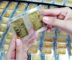 Chính phủ yêu cầu nghiên cứu huy động vàng, ngoại tệ trong dân