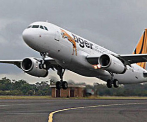 Phát hiện mùi cháy, máy bay Tiger Air hạ cánh khẩn cấp xuống Tân Sơn Nhất