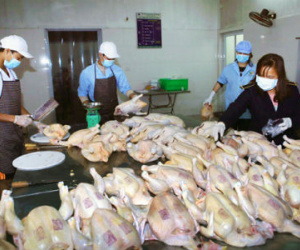 Phó Chủ tịch QH: An toàn thực phẩm của Hà Nội đã đến giới hạn đỏ!