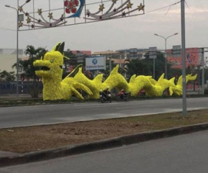 Phó Chủ tịch TP Hải Phòng nói gì về "con rồng 60 tỷ"?